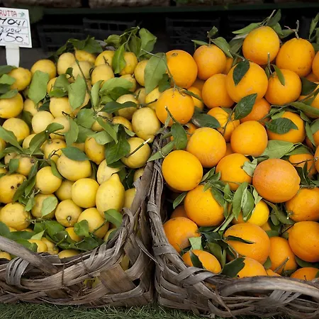 Fiorentino Sorrent